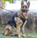 Un berger allemand porte le harnais tactique noir Wooftrek en extérieur, laisse attachée